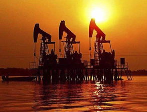 制裁將至 最先認輸?shù)牟皇且晾?美松口 中國等8個國家不受約束