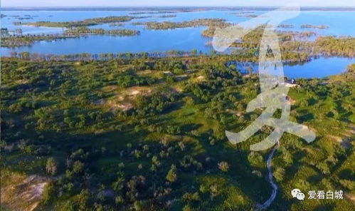 大美白城 誰不說俺家鄉(xiāng)好 榮獲亞洲大獎