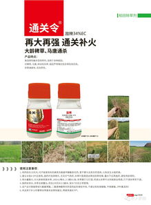 2020年 讓稀缺產品資源走進千家萬戶